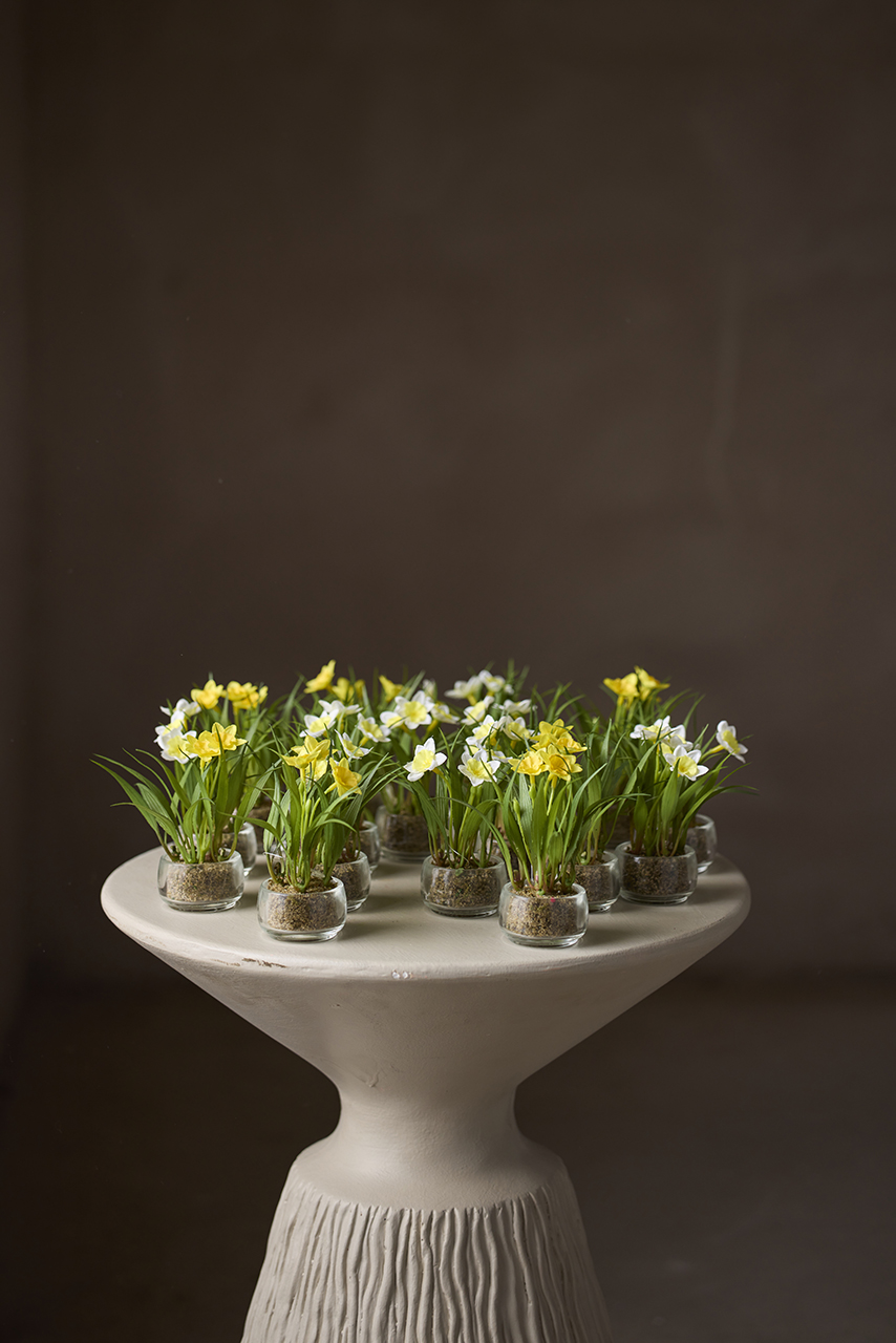 /images/imagebankSeasons/small/Mr Plant SS 2024/2015-99-1.jpg